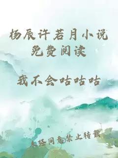 杨辰许若月小说免费阅读